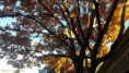 /album/fotogaleria/a20151206-163311-2-jpg/